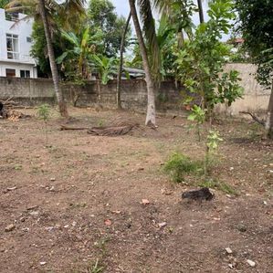 Cosy Land Close To Main Road Sapuguskanda Sale ( Code Dsp 070 ) - Image 2