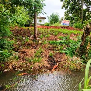 Land for Sale Gokarella - Image 3