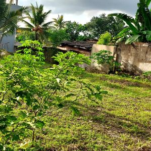 10 Perch Two Land for Sale in Maharagama - Image 2