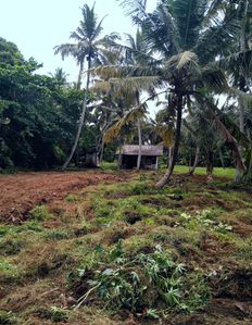 Land for Sale in Uswetakeiyawa