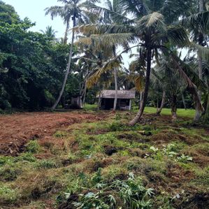 Land for Sale in Uswetakeiyawa - Image 2