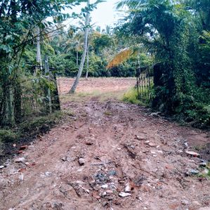 Land for Sale in Uswetakeiyawa - Image 3