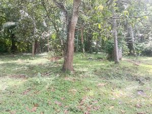 Lakeside Property for Sale in Beliatta