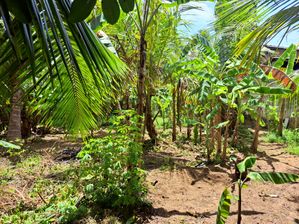 Land for Sale in Ethagama Payagala