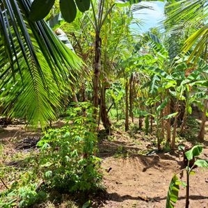 Land for Sale in Ethagama Payagala - Image 2