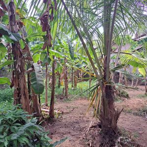 Land for Sale in Ethagama Payagala - Image 3