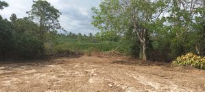 Land for sale - Galle, Boossa area