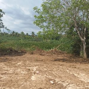 Land for sale - Galle, Boossa area - Image 2