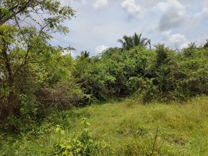 Land for Sale – Ganewatta