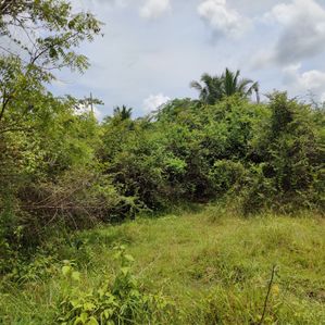Land for Sale – Ganewatta - Image 2