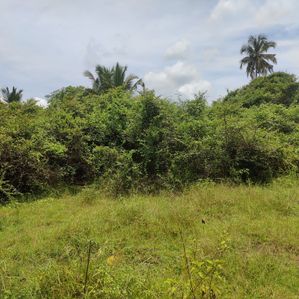 Land for Sale – Ganewatta - Image 3