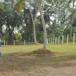 මොරටුවට ලඟ හොඳම ඉඩම පානදුරෙන් - Image 3