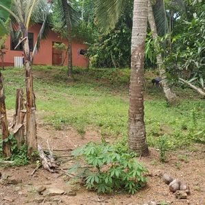 Land For Sale In Kaduwela - Image 2