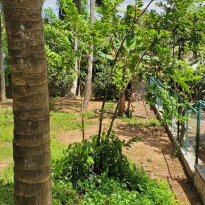 Land For Sale In Kaduwela - Image 3