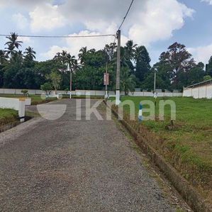 පදිංචියට හොඳම තැන – කඩවත නගරය ළඟින් ඉඩම් විකිනීමට - Image 2