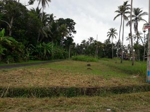 වෛද්‍ය පීඨය අසලින් ඉඩමක් කුලියාපිටිය
