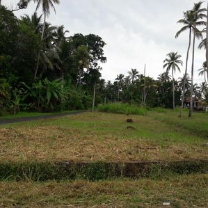 වෛද්‍ය පීඨය අසලින් ඉඩමක් කුලියාපිටිය - Image 2