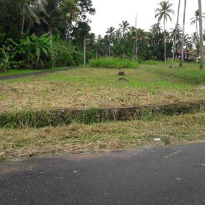වෛද්‍ය පීඨය අසලින් ඉඩමක් කුලියාපිටිය - Image 3