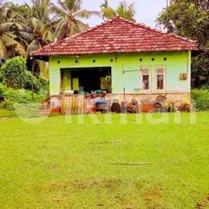 Land for Sale with Old House in Ja-Ela - Image 2
