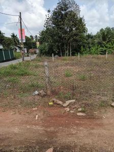 ඉඩමක් විකිණීමට - හොරණ