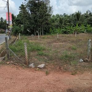 ඉඩමක් විකිණීමට - හොරණ - Image 3