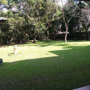 Super Land with 2st House for Sale in Kohuwala - Image 3