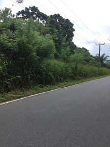 Land for Sale Pitigala
