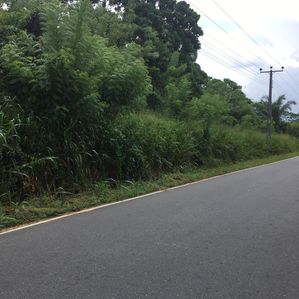 Land for Sale Pitigala - Image 2