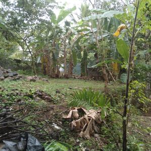 Land for Sale in Yakkala – Prime Location - Image 3