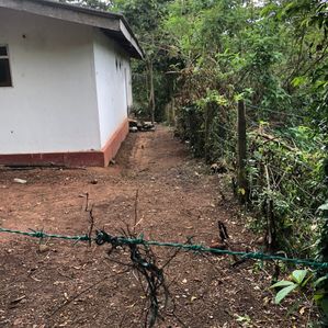 බණ්ඩාරගම කළුතර පාරේ දෙල්දූව අසල පර්චස් 20 ඉඩමක් . - Image 3