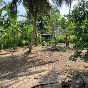 අගනා බිම් කොටසක් විකිණීමට පානදුර - Image 3