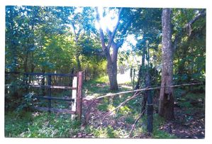 Land for Sale in Anuradhapuraya