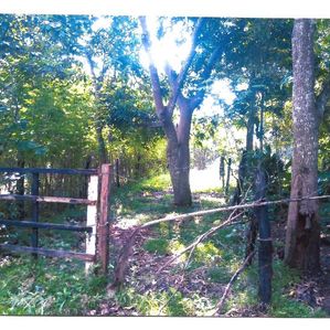 Land for Sale in Anuradhapuraya - Image 2