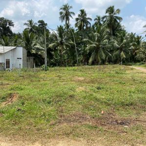 Land for Sale in Ambagaha Handiya, Homagama. - Image 3