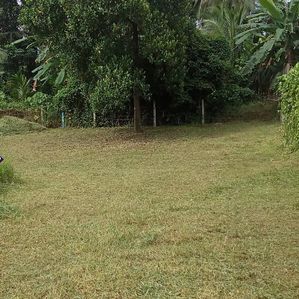 Land for sale in Kosgama - Image 2