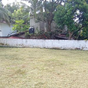 Land for sale in Kosgama - Image 3