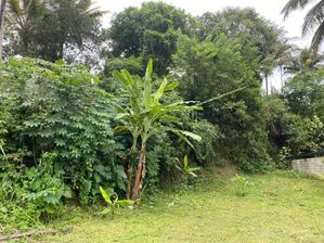 Land for Sale in Katugasthota