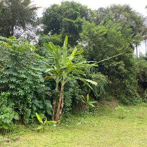 Land for Sale in Katugasthota - Image 2