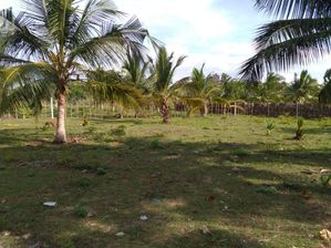 Passikudah land for sale
