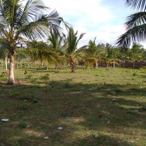 Passikudah land for sale - Image 2