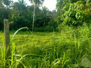 Land for Sale in Athurugiriya
