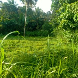 Land for Sale in Athurugiriya - Image 2