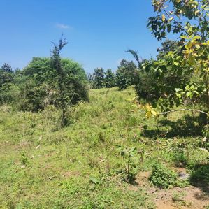 Land for Sale in Monaragala - Image 3