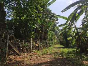 Sale Panadura Rectangular Bare Land For