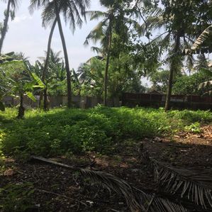 Sale Panadura Rectangular Bare Land For - Image 3