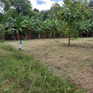 Land for Sale in Anuradhapura
