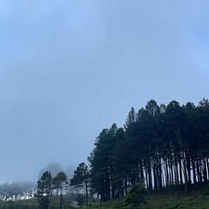 Land for sale in Upper Glenloch, Ramboda, Nuwara Eliya - Image 2