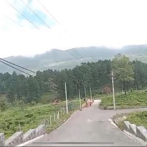 Land for sale in Upper Glenloch, Ramboda, Nuwara Eliya - Image 3
