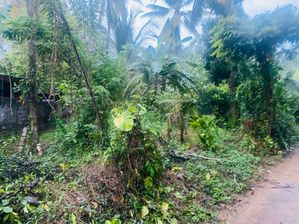 (RL296) 21 Perch Land For Sale in Pokunuwita