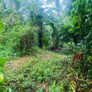 (RL296) 21 Perch Land For Sale in Pokunuwita - Image 3